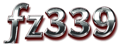 fz339 logo
